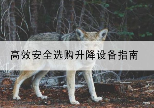 东光升降货梯厂家推荐-*安全选购升降设备指南