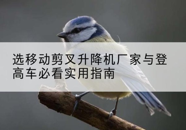 东光电动升降机厂家-选移动剪叉升降机厂家与登高车必看实用指南