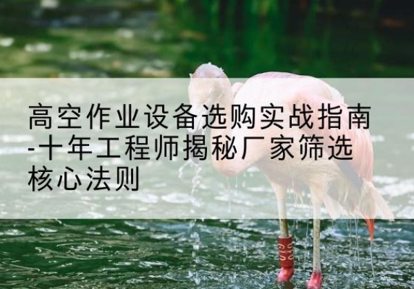 东光剪叉式升降机厂家-高空作业设备选购实战指南-十年工程师揭秘厂家筛选核心法则